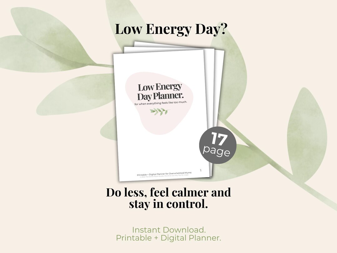 Low Energy Day Planner for Overwhelmed Mums | Burnout Day Printable ...