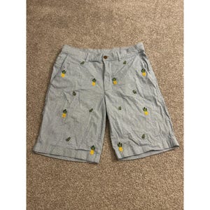 May include: Light blue and white pinstriped shorts featuring an embroidered pattern of small yellow pineapples with green tops scattered across the fabric. The shorts include a front button closure, a zipper fly, and belt loops at the waistband.
