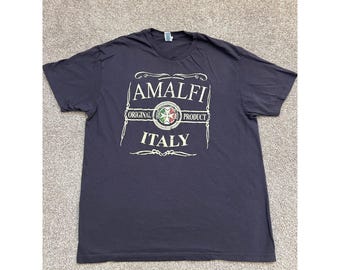 JHK Amalfi Italy Graphic Tee Mens M Gray Excellent Distressed Souvenir Shirt