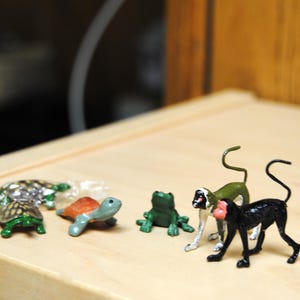 Op de afbeelding: Een verzameling kleine dierenbeeldjes, waaronder schildpadden, een kikker en apen. De schildpadden hebben groene en bruine schilden, de kikker is groen en de apen zijn zwart en groen. De beeldjes staan op een lichtgekleurd houten oppervlak.