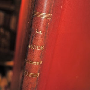 Suplemento La Mode Illustree 1895 - 1896 Antiguo ABGGoodStuff
