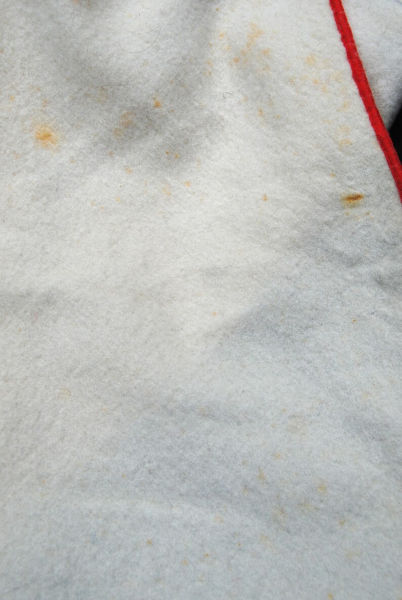 Vintage Continental Airlines Pendleton Wool Lap Blanket image 4
