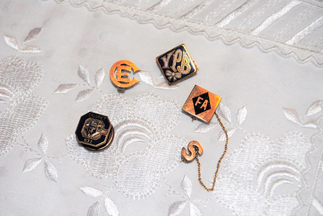Organization Pin Lapel or Hat Pins Organizations Pins Vintage Abggoodstuff - Etsy