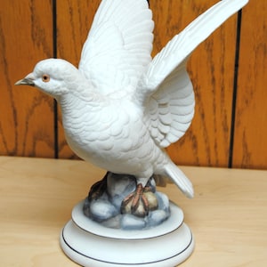 White Doves Andrea - Etsy
