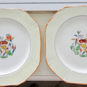 May include: Two white ceramic plates with a light green rim and a floral design in the centre. The flowers are red, yellow, and blue.