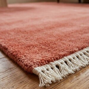 Terracotta hand knotted wool rug in modern living room