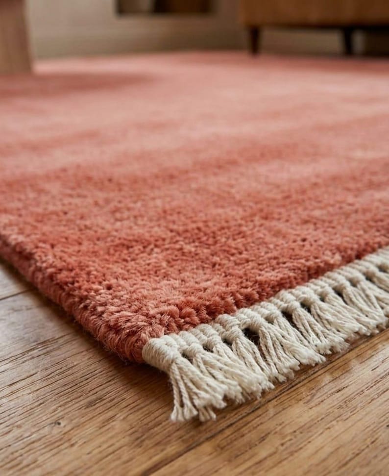 Terracotta hand knotted wool rug in modern living room