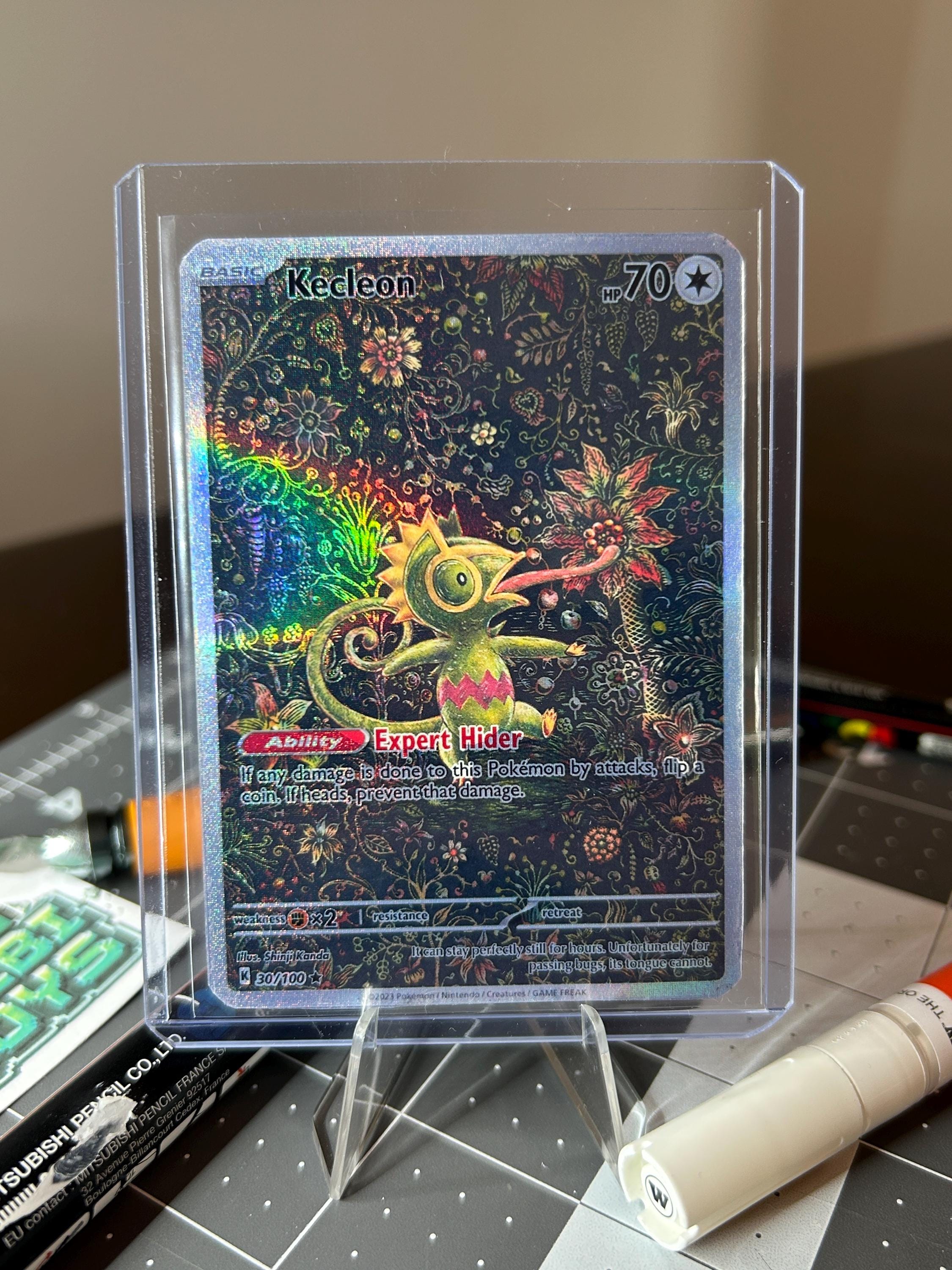 Kecleon Art - Etsy