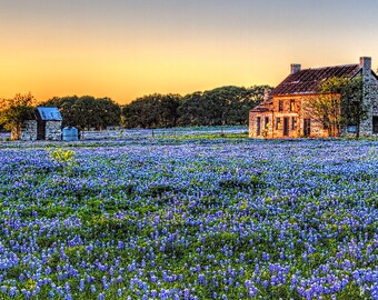 Bluebonnet House at Sunset