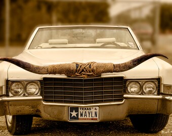 Texas Longhorn Cadillac in Sepia