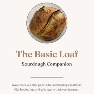 Guide till surdeg för nybörjare | Recept, matnings- och bakloggar (digital nedladdning)