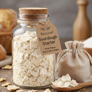 Levain au levain déshydraté - Facile à réhydrater - Instructions détaillées incluses