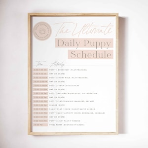 May include: A framed print with a light wood finish. The print features a daily puppy schedule with a schedule of activities, including potty breaks, naps, and playtime. The text is in a soft, neutral color palette.