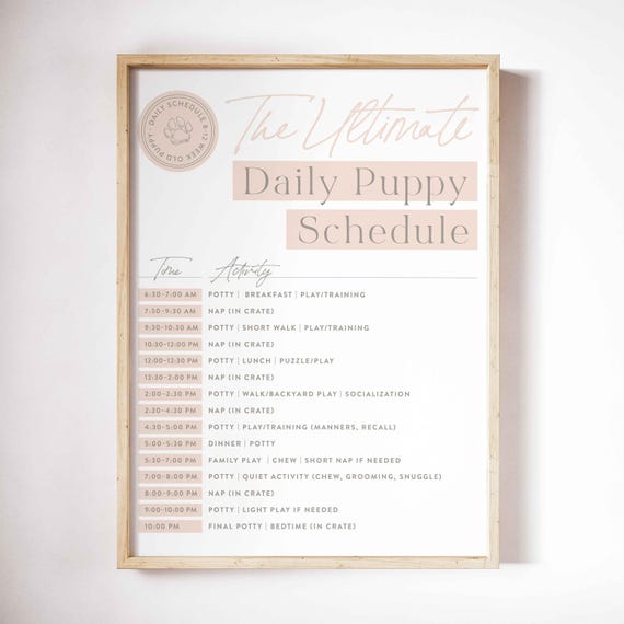 Puppy Daily Schedule, Printable to Hang, Puppy Planner, Dog Schedule, Daily Routine | Gift for New Dog Parents, Instant Download