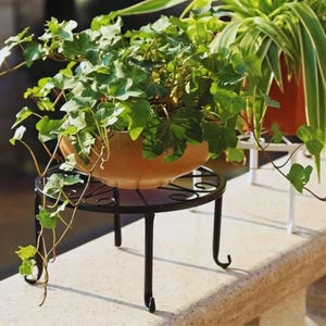 Puede incluir: Un pequeño soporte redondo de metal negro con un diseño decorativo calado. El soporte sostiene una maceta de color terracota llena de hiedra verde. Otra planta en maceta es visible en el fondo.