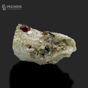 Puede incluir: Un espécimen mineral en bruto, de forma irregular, con un grupo de pequeños cristales rojo oscuro sobre una matriz verde claro y blanca. El mineral tiene una estructura cristalina con algunas inclusiones oscuras. Logotipo de Premier Fine Minerals.
