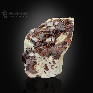 Puede incluir: Un espécimen mineral en bruto con estructuras cristalinas de color rojo oscuro incrustadas en una matriz de color claro. Los cristales tienen una cualidad reflectante, y la apariencia general es áspera y natural. El logotipo de Premier Fine Minerals es visible en la esquina superior izquierda.