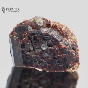 Puede incluir: Un espécimen mineral en bruto de color rojo oscuro con una estructura cristalina. El mineral tiene una superficie rugosa y texturizada con inclusiones más claras y un pequeño cristal transparente en la parte superior. El logotipo de Premier Fine Minerals está en la esquina superior izquierda.