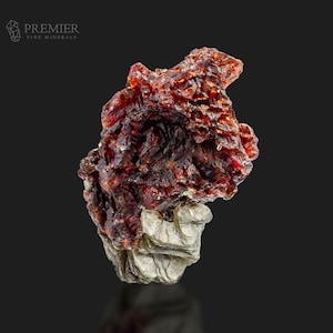 Puede incluir: Un espécimen mineral natural en bruto que presenta un grupo de estructuras cristalinas de color rojo intenso sobre una base de roca gris clara y estratificada. El mineral tiene un aspecto reflectante y vítreo. Logotipo de Premier Fine Minerals en la esquina superior izquierda.