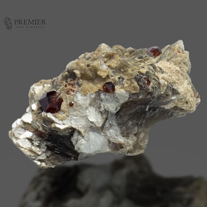 Puede incluir: Un espécimen mineral natural con cristales de granate rojo oscuro incrustados en una matriz de roca beige y gris. El logotipo de Premier Fine Minerals está en la esquina superior izquierda.