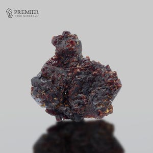 Puede incluir: Un espécimen mineral de color rojo oscuro con una estructura cristalina rugosa. El mineral tiene un color profundo, casi negro en algunas áreas, con toques de oro. El logotipo de Premier Fine Minerals está en la esquina superior izquierda.