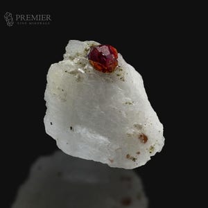 Op de afbeelding: Een ruw, wit mineraal specimen met een prominente, gefacetteerde, rood-oranje kristal aan de bovenkant. Het mineraal heeft een ruw, getextureerd oppervlak met kleine, donkere insluitsels. Het Premier Fine Minerals-logo staat linksboven.