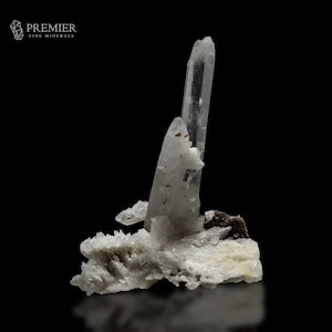 May include: A cluster of clear quartz crystals with a prominent, upright central point. The crystals are set on a white and gray matrix, with a dark, textured base. The Premier Fine Minerals logo is in the upper left corner.