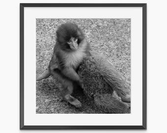 Punch Monkey, poster meme, stampe fotografiche, arte murale in bianco e nero