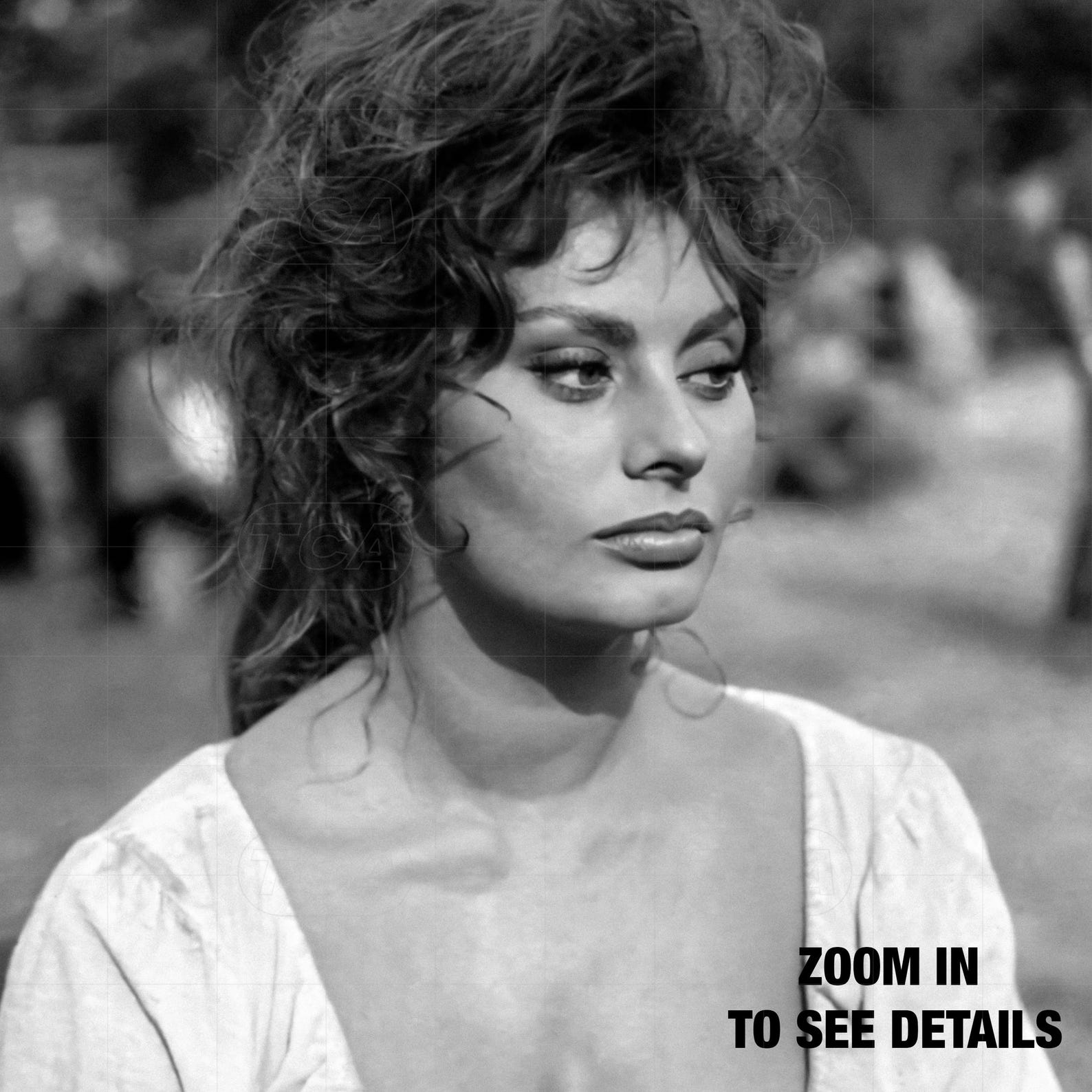 sophia-loren-photography-prints-sophia-loren-poster-retro-poster
