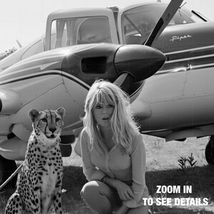 A woman in a white shirt and jeans sits next to a cheetah in a grassy field, with a small propeller plane in the background.
