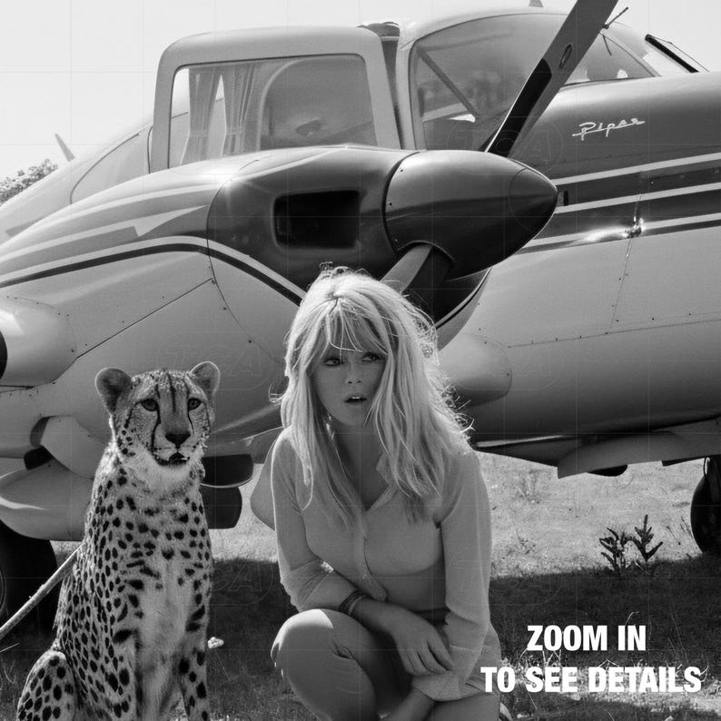 A woman in a white shirt and jeans sits next to a cheetah in a grassy field, with a small propeller plane in the background.