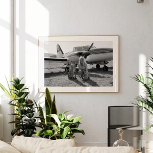 A framed black and white photograph of a woman and a dog is hanging on a wall in a living room, with several potted plants in the foreground.