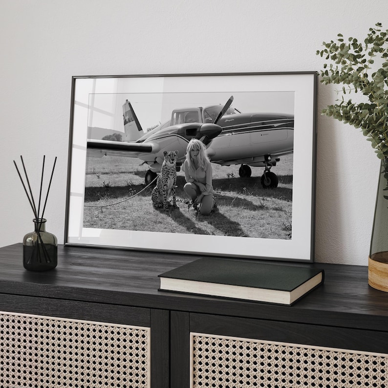 A framed black and white photograph of a woman and a cat, with a small airplane in the background, is displayed on a wooden cabinet.