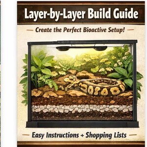 Peut inclure: Un guide de construction de terrarium avec le texte "Layer-by-Layer Build Guide" et "Create the Perfect Bioactive Setup!". L'image montre un terrarium en couches avec un serpent, des plantes et une pr&eacute;sentation d&eacute;taill&eacute;e de la configuration. Le texte "Easy Instructions + Shopping Lists" est &eacute;galement visible.
