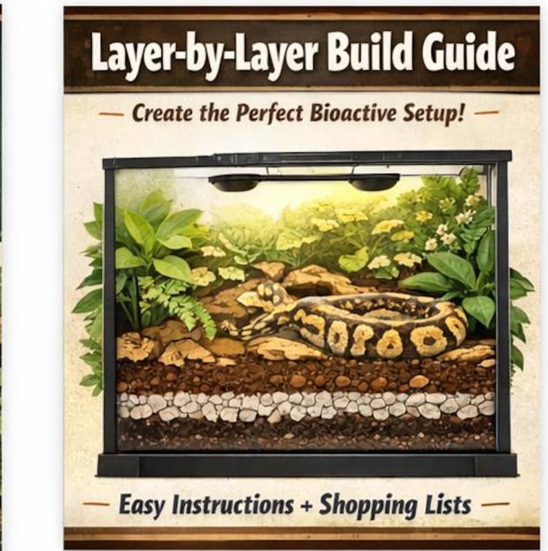 Peut inclure: Un guide de construction de terrarium avec le texte "Layer-by-Layer Build Guide" et "Create the Perfect Bioactive Setup!". L'image montre un terrarium en couches avec un serpent, des plantes et une pr&eacute;sentation d&eacute;taill&eacute;e de la configuration. Le texte "Easy Instructions + Shopping Lists" est &eacute;galement visible.