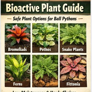 Peut inclure: Un guide intitul&eacute; "Bioactive Plant Guide" avec des images de plantes. Le guide met en &eacute;vidence des options de plantes s&ucirc;res et &agrave; faible entretien pour les pythons royaux, notamment les brom&eacute;liac&eacute;es, les pothos, les plantes serpent, les foug&egrave;res et les fittonias.