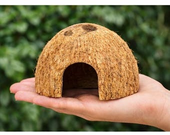 Lot de 3 peaux de noix de coco | Cachette naturelle pour reptiles et petits animaux de compagnie | peau de serpent | Gecko, hamster, rat, souris, bernard-l'ermite | Décoration bioactive