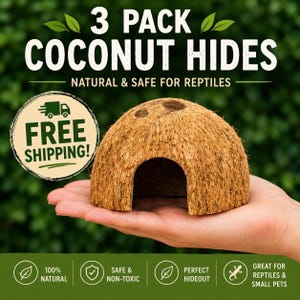3 PACK Coconut Hides | Natural Reptile & Small Pet Hideouts | Snake Hide | Gecko, Hamster, Rat, Mouse, Hermit Crab | Bioactive Decor