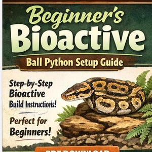Puede incluir: Portada de libro con el título "Beginner's Bioactive Ball Python Setup Guide". Presenta una pitón bola enroscada sobre una roca con follaje verde. El texto incluye "Step-by-Step Bioactive Build Instructions!" y "Perfect for Beginners!"
