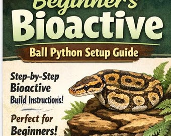 Guía para principiantes sobre la configuración de una pitón bola bioactiva (2026) / Construcción de un vivero paso a paso + Lista de compras / Descarga en PDF