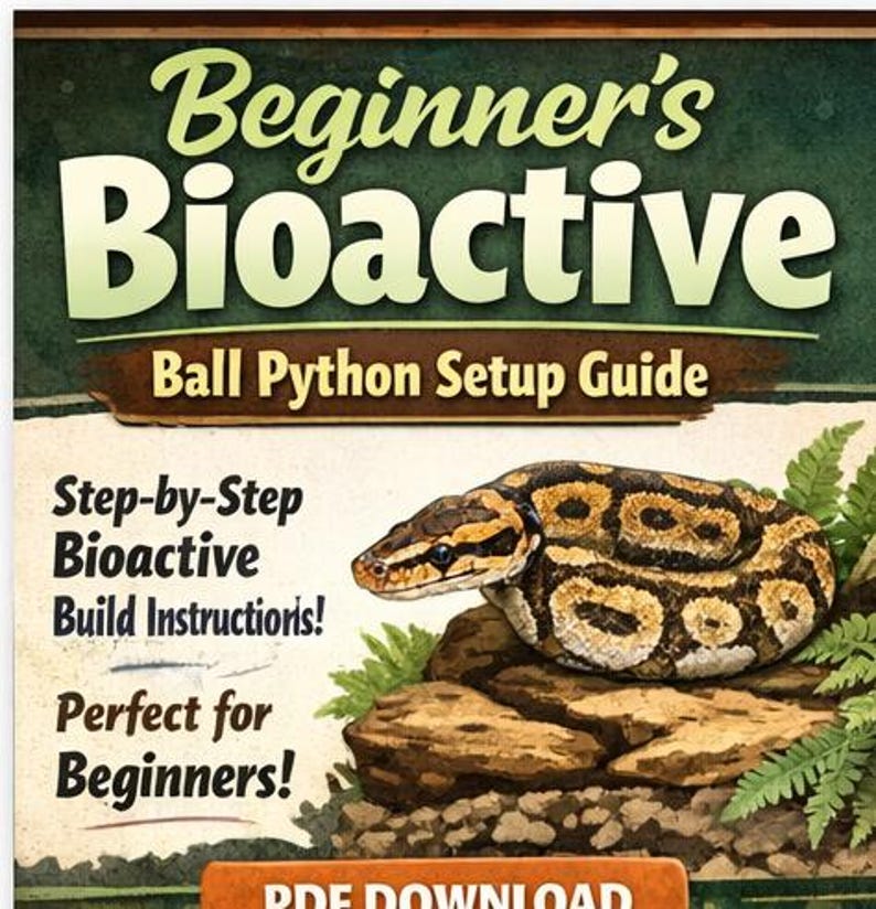 Peut inclure: Couverture de livre avec le titre "Beginner's Bioactive Ball Python Setup Guide". On y voit un python royal enroul&eacute; sur une roche avec de la verdure. Le texte comprend "Step-by-Step Bioactive Build Instructions!" et "Perfect for Beginners!"