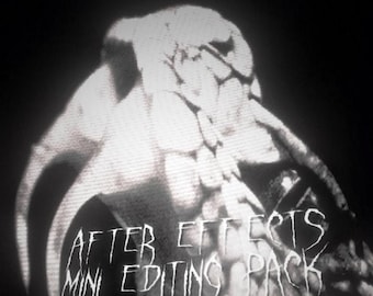 Más de 30 minipacks de edición para After Effects / Ajustes preestablecidos de edición de vídeo (descarga digital)
