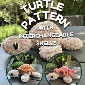Puede incluir: Un juguete de tortuga de ganchillo con cuerpo beige y ojos negros y blancos. El texto dice TURTLE PATTERN WITH INTERCHANGEABLE SHELLS. Dos recuadros circulares muestran la tortuga con un caparazón marrón y otro rosa con volantes. @eentre_hiloss.