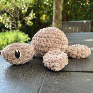 Schildkrötenmuster mit einfachem und gerüschtem Panzer Bild 2