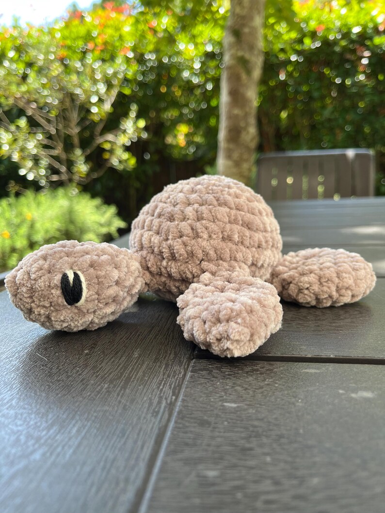 Schildkrötenmuster mit einfachem und gerüschtem Panzer Bild 2