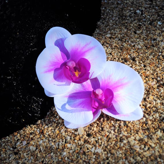 Orchid Hair Flower Tropical Hair Flower Hawaiian Hair Etsy