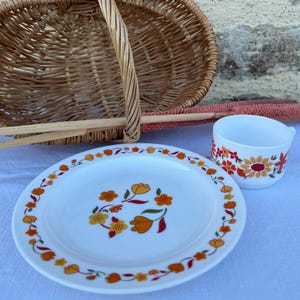 Bol Vintage Arcopal En Verre Motif Paysage Multicolore – Très Bon état