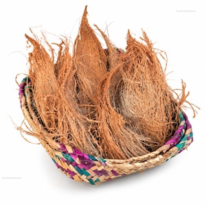 Pode incluir: Uma cesta trançada com um padrão colorido de fibras roxas, verde-azuladas e bege natural, cheia de um grupo de cascas de coco castanhas e fibrosas. As cascas têm uma textura pontiaguda e desfiada, empilhadas dentro do recipiente raso.