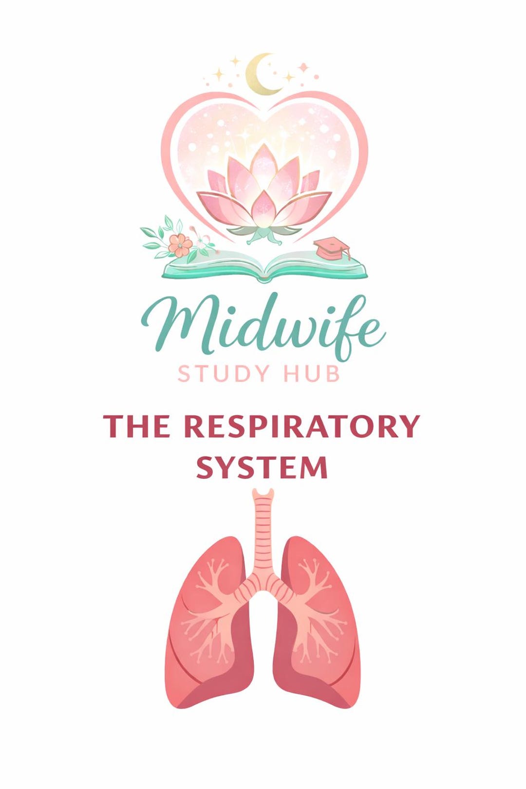 The Respiratory System Study Guide, Revision Poster for Midwifery ...