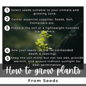 May include: A guide titled "How to grow plants from seeds" with numbered steps. The steps include selecting seeds, gathering supplies, preparing soil, sowing seeds, and maintaining moisture and sunlight. A small plant is in the center.